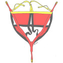 Rettungsdreieck TYRAH AR2