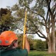 Sherrill Tree, Big Shot - Set Deluxe