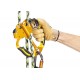Dank des Entriegelungshebels kann die Handsteigklemme überall am Seil mit einer Hand installiert und wieder abgenommen werden.