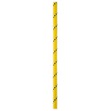 Seil Parallel 10.5mm, 50m, gelb